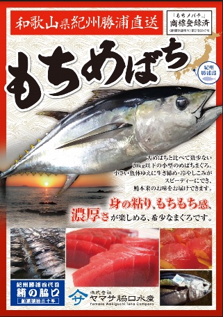 【海桜鮪】トロめばちVSモチめばち《2種3本セット》約300g(約4~6人前)