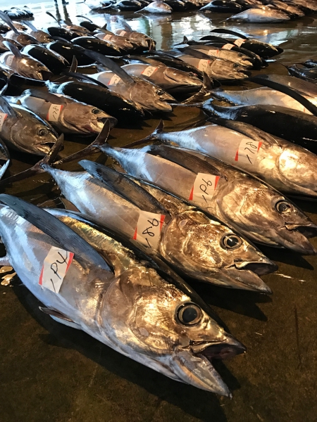 【生】マグロブロック　上びんちょう(5～6人前)約1kg