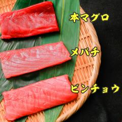 【海桜鮪】旬を食べ比べ!本鮪、めばち、びんちょう《3種3本セット》約300g(約4～6人前)