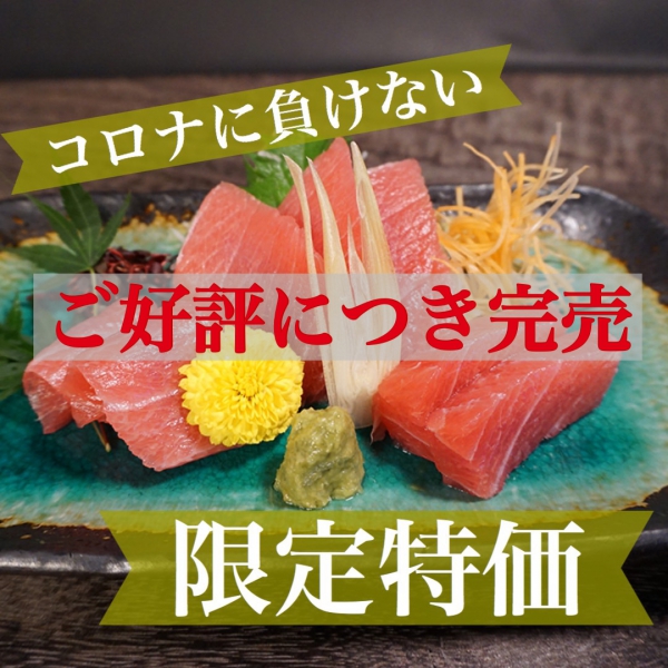 【海桜鮪】上品な脂が旨い☆本鮪(中トロ:100g×1パック、上赤身:100g×2パック)