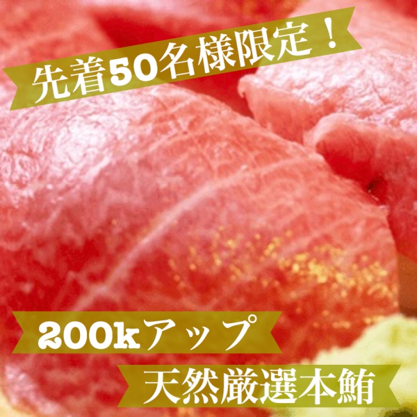 【先着50名】【海桜鮪】コロナに負けない!本鮪限定特価　大トロ(300g)