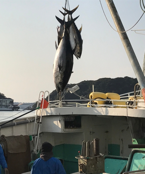 【生】マグロブロック　上赤身(2～3人前)約500g