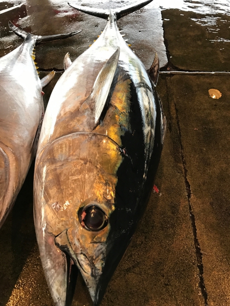 【生】マグロブロック　もち赤身(2～3人前)約500g